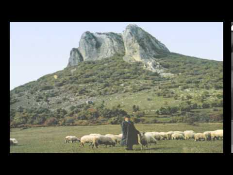 Dobrivoje Pavlica i VNO RTV - Oj, livado, rosna travo