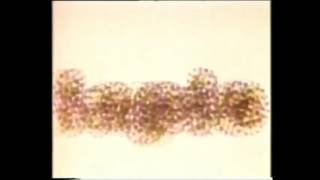 Tarotplane - Garden Of Dreams