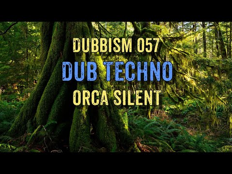 Dub Techno Session 2022 | DUBBISM 057 - Orca Silent