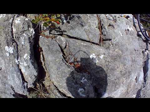 Define Kasaları Oymalar İşaretler Peşindeyim !!!