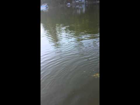 image-How many Spider lakes are in Wisconsin?
