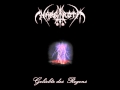 Nargaroth - Manchmal Wenn Sie Schläft 