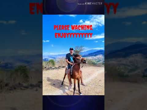 Ne laos Fahe Malu, Kolega laos Familia maibe Nafatin Kolega