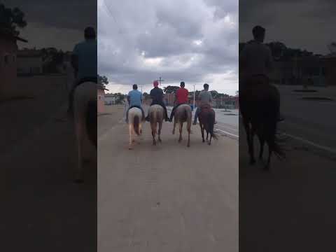 primeira cavalgada do grupo gibão de couro, fazenda São Diogo, Planaltino Bahia,14 .12.2025