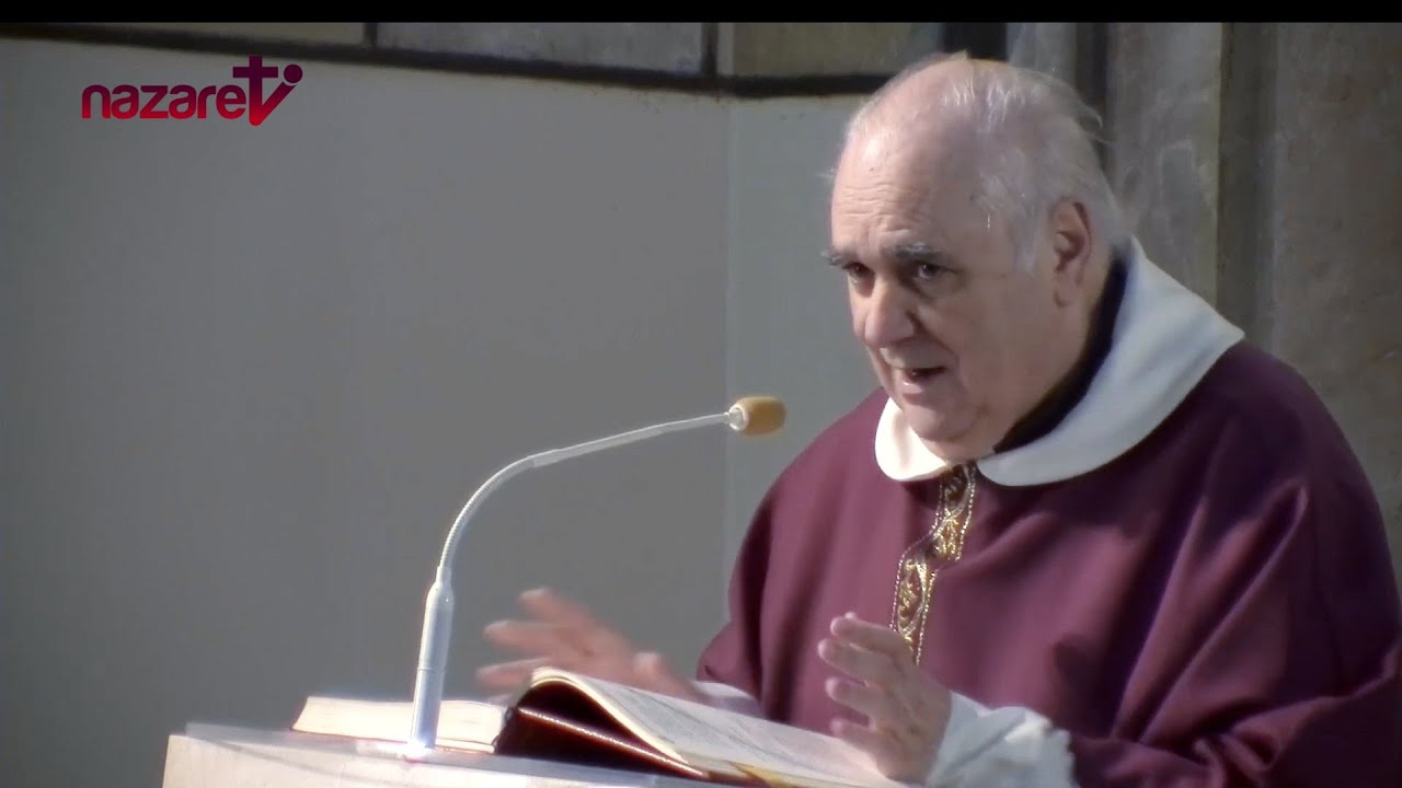 Evangelio y homilía del Domingo 22 de diciembre de 2024. Rvdo. Enric Ribas, pbro.