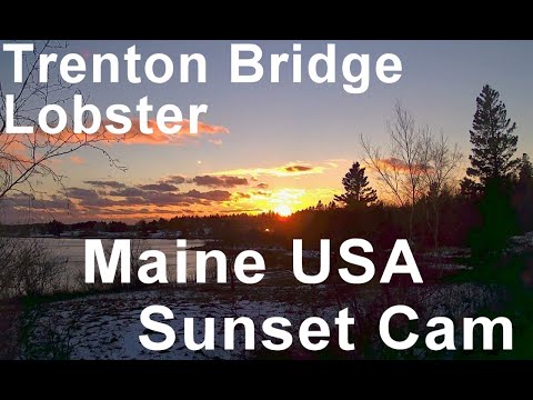 Live webcam view of Trenton Bridge Lobster Cove, Acadia