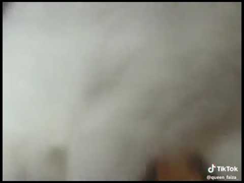 Cat and her cutest baby ever