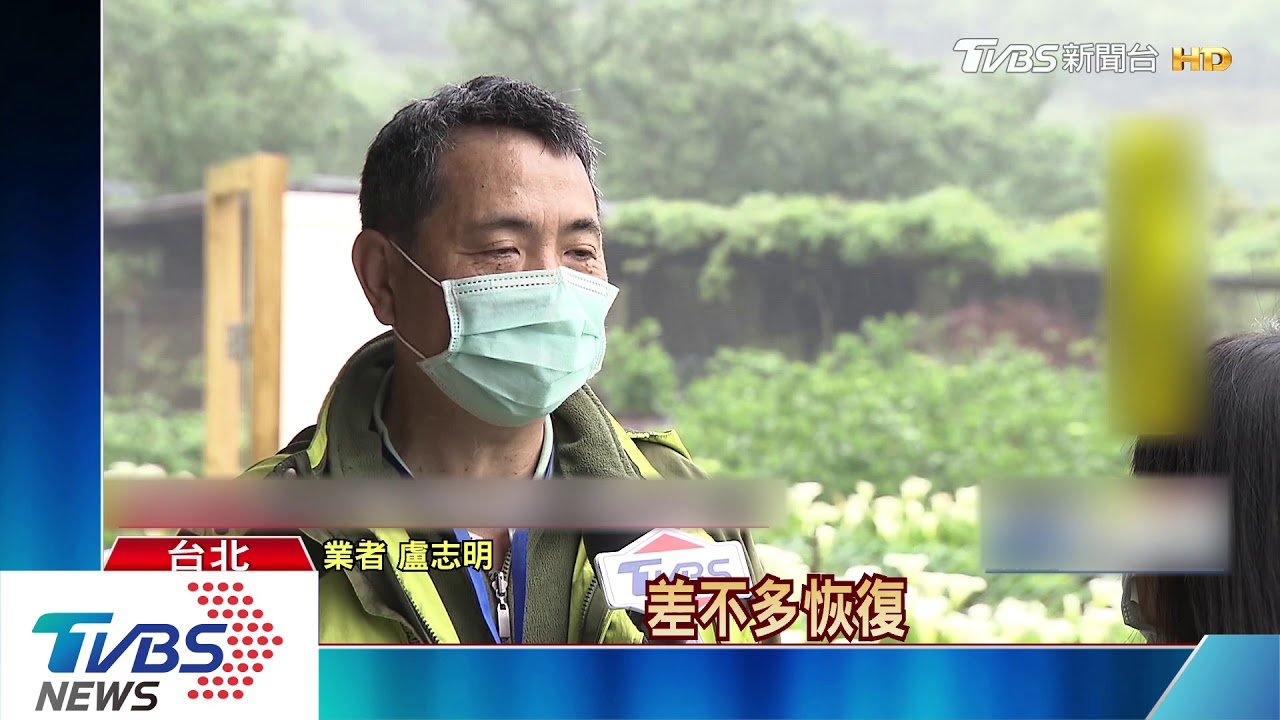 雨勢趨緩!北台灣氣溫回升 賞海芋人仍少