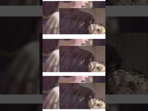 Luis Fonsi  Despacito ft  Daddy Yankee; cover by Rafael Dolan  Bachand