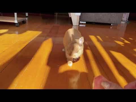 It's delicious.🍎😋