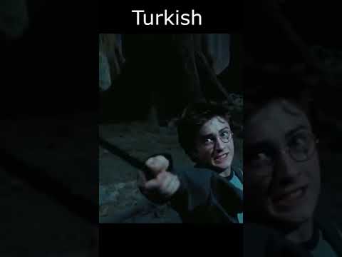 Expecto Patronum by country #shorts #expectopatronum #harrypotter #해리포터 #익스펙토 #페트로넘
