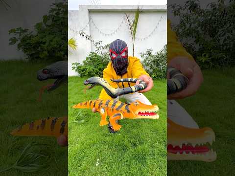 My new toy Rc snakes 🐍 and crocodile Unboxing & Testing 💥