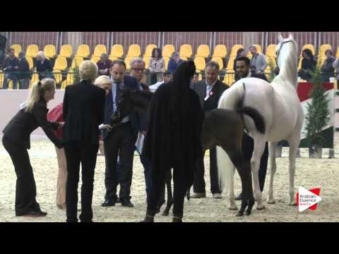 Milano 2016   Class 14