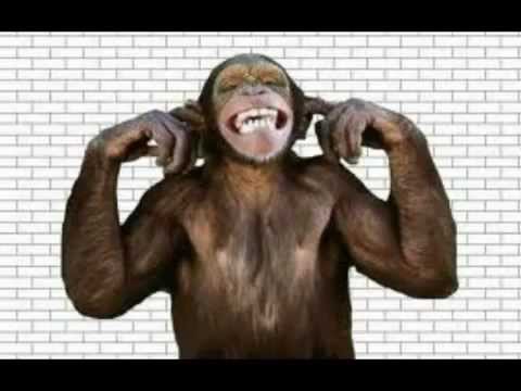 Decibel Geek Podcast - Now Playing Mitch Lafon.mp4