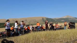 Francesco De Gregori - Cose