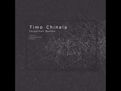 Premiere: Timo Chinala - Forgotten Realms (Evident 'Together We Can' Remix) [Soundhitectures]