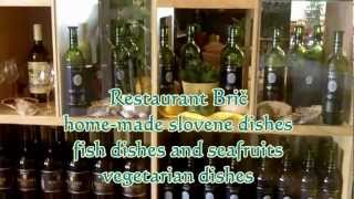 preview picture of video 'Restaurant Brič Koper Slovenia'
