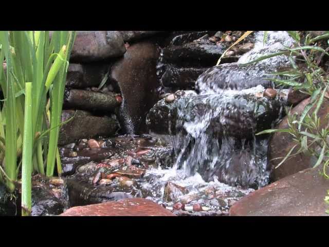 Water Garden Pond Design