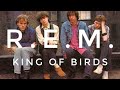 R.E.M. King of birds. Lyric video