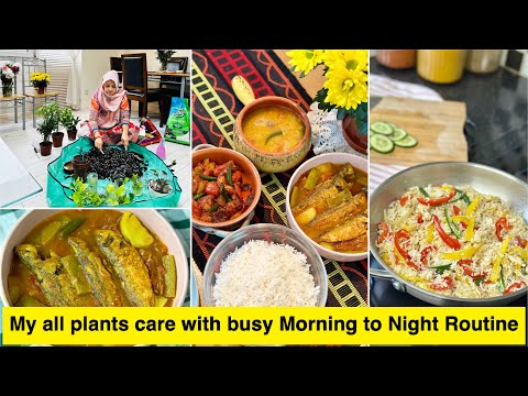 My Busy Morning to Night Routine with Plants Care।সংসারের কাজ ও গাছের যত্ন🌿। Lunch Box।Indoor Plant