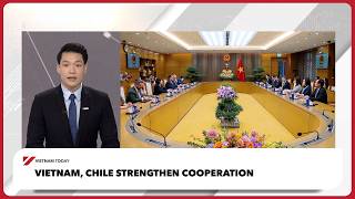 Vietnam, Chile strengthen cooperation | Vietnam Today