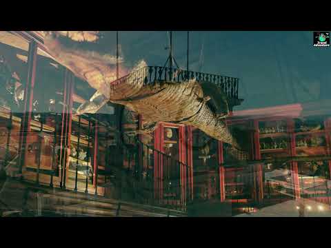 Discover Coimbra University: Portugal’s Historic Academic Jewel | 4K Travel Video