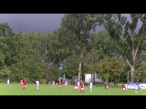 Samenvatting Hermes DVS D3 -  LYRA D4