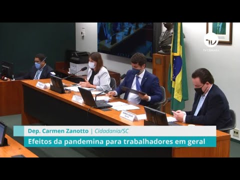 Comissão debate efeitos da pandemia para trabalhadores de diversas áreas - 18/08/20