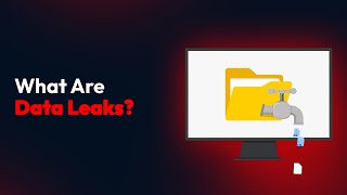 What Are Data Leaks