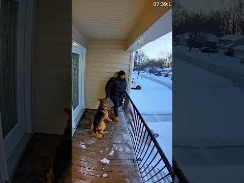 😱 He Got Pulled Back… Seconds Before Ice Crashed 🐕❄️