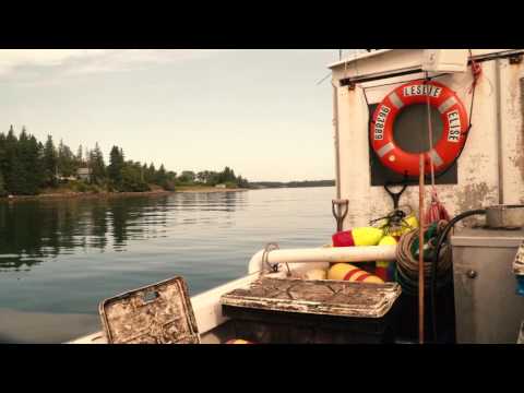 download lagu mp3 mp4 How Many Lobstermen In Maine, download lagu How Many Lobstermen In Maine gratis, unduh video klip How Many Lobstermen In Maine