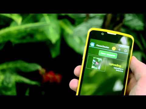 FlowerChecker, plant identify Video