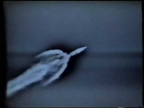 Launch of Skylab 4 (CBS)