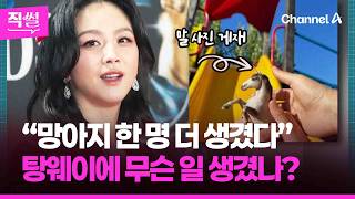 “망아지 한 명 더 생겼다”???? 탕웨이에 무슨 일 생겼나?????????…SNS에 말 사진???? 공개 이유 보니... ???? [직썰]