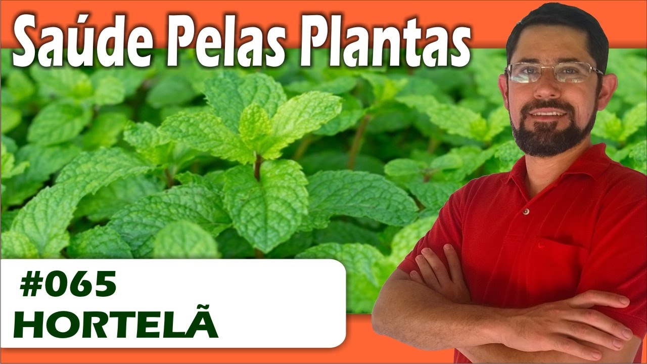 Saúde Pelas Plantas - Hortelã [dor de cabeça, rinite alérgica, amebíase, vermes intestinais]
