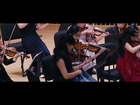 Musart Ensemble: Mozart Eine Kleine Nachtmusik