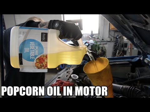 What Happens If You Put Vegetable Oil In Your Engine? (You Won't Believe It!)