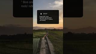 Download lagu story wa 'diceluk boss' ||  lagu - ora gampang wong bebojoan - #difarinaindra #viraltiktok mp3