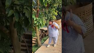 Download lagu changu and moti comedy video😃/champa comedy video// funny video😂!!#shorts #comedy #shortsfeed mp3