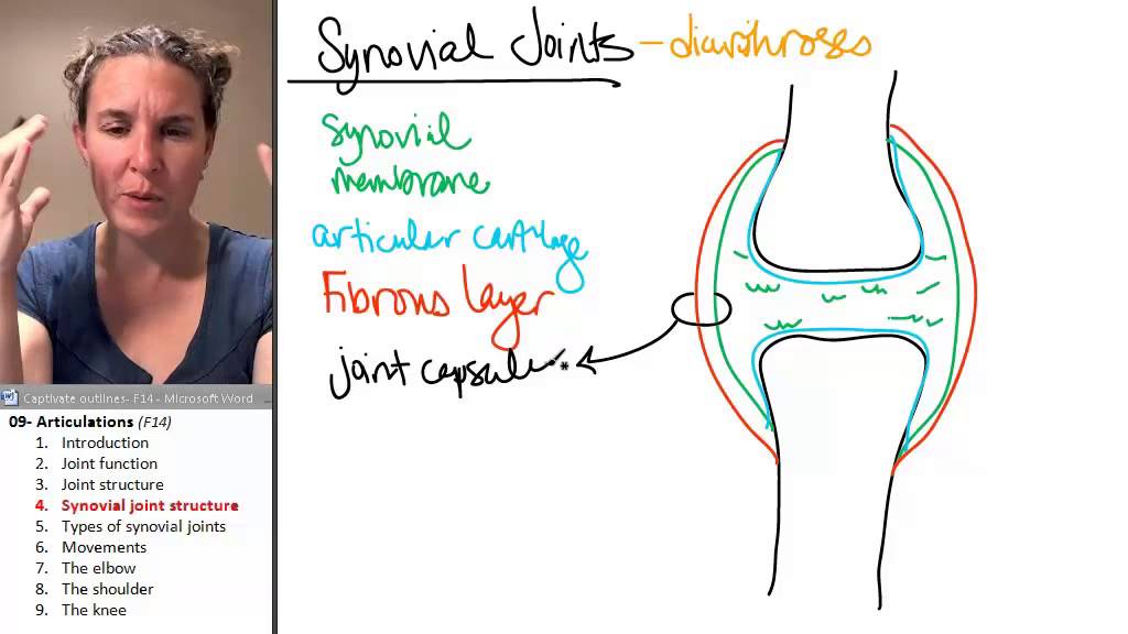Articulations 4- Synovial joint anatomy