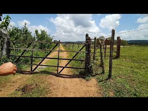 Vamos juntos nas estradas rurais, do nosso nordeste. 