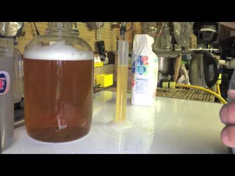 download lagu mp3 mp4 Making Cider With Ale Yeast, download lagu Making Cider With Ale Yeast gratis, unduh video klip Making Cider With Ale Yeast