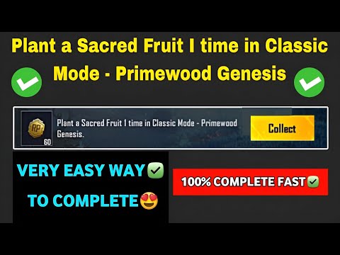 Plant a Sacred Fruit 1 time in Classic Mode - Primewood Genesis | PUBG Mobile & BGMI New Mission