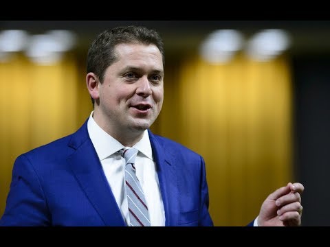 Question Period: Mental health, carbon pricing, housing costs — January 30, 2019