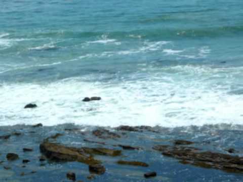 Our Dreams Will Love You - Max Surine