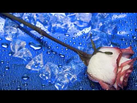 Heartbeat--ATB & Amurai