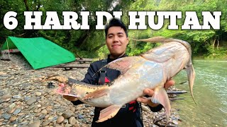 Download lagu Camping Hujan Deras 6 Hari di hutan Kalimantan Pertualangan Fishing Camp Bermalam masak dan makan mp3 Download lagu Camping Hujan Deras 6 Hari di hutan Kalimantan Pertualangan Fishing Camp Bermalam masak dan makan mp3