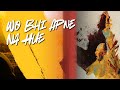 Wo Bhi Apne Na Hue Dil Bhi Gaya Hathon Se Lyrics