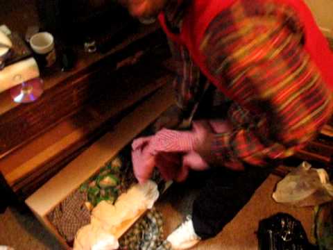 gucci tay - aint nothing to prove