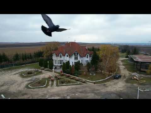 FILM! Potential Imobiliar remarcabil, recomandat domeniului Petrolier & HoReCa, DN11 — Video